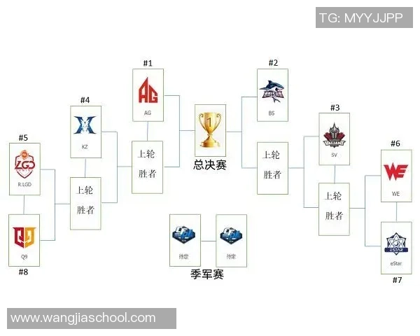 仰泳比赛规则详细解析与比赛流程全攻略 仰泳比赛规则详细解析与比赛流程全攻略