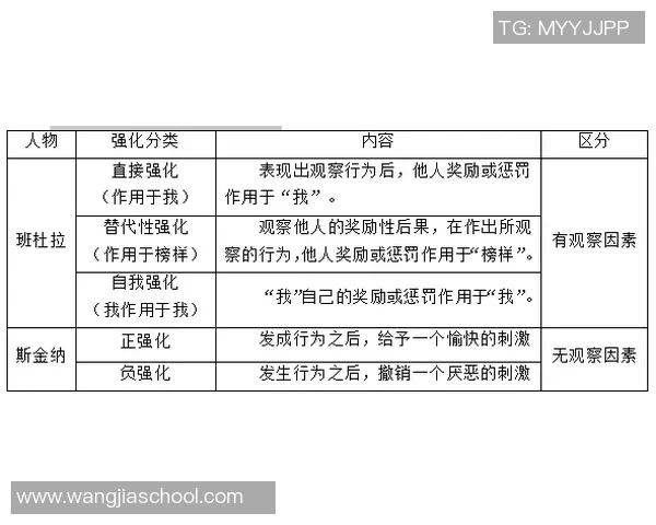 竞技体操C级考试标准解析与备考策略全面指南