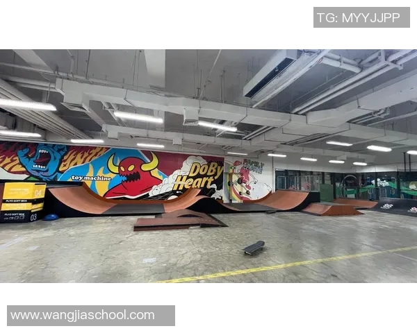 南京滑板队技术革新引发热议助力滑板运动新发展