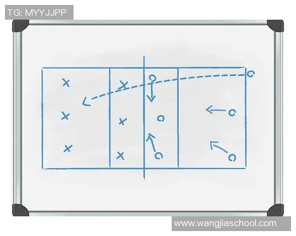 深圳排球队进攻策略分析与战术解读助力球队崛起