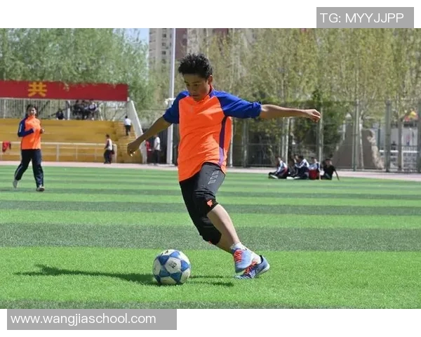 足球小子勇闯绿茵场挑战极限追逐梦想之路