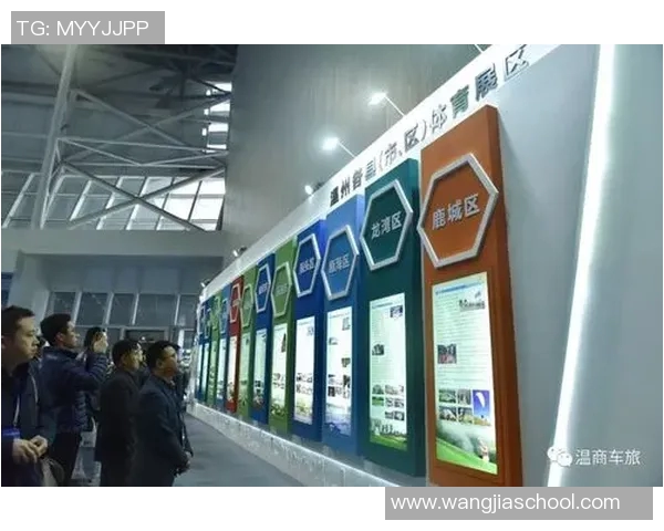 高科技棒球装备的研发与市场前景