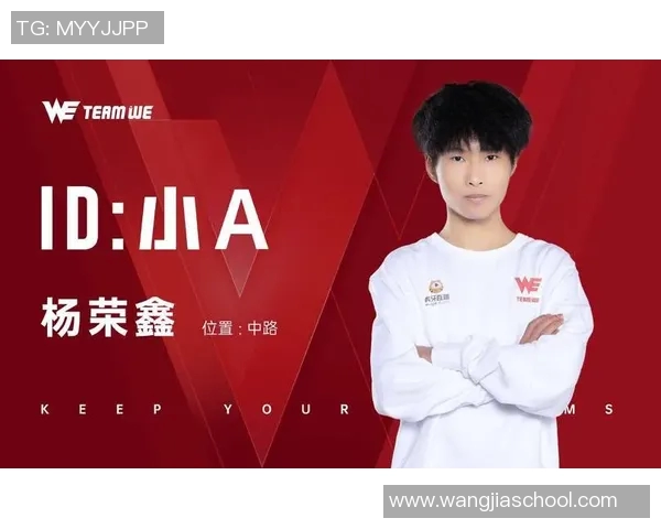 WE战队在冠军杯中的意识表现分析与战术解读 WE战队在冠军杯中的意识表现分析与战术解读