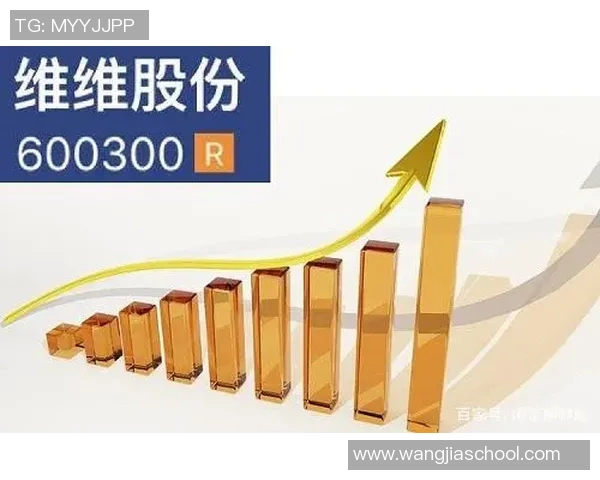 南京攀岩队个人能力分析及其对团队表现的影响研究