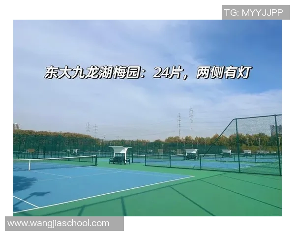 南京网球队荣登全国网球技术排行榜第三名展现实力与潜力 南京网球队荣登全国网球技术排行榜第三名展现实力与潜力